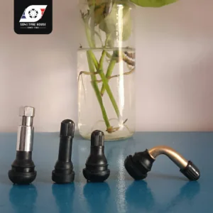 Tubeless Valve Image